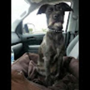 Meet your Posher, Nykk